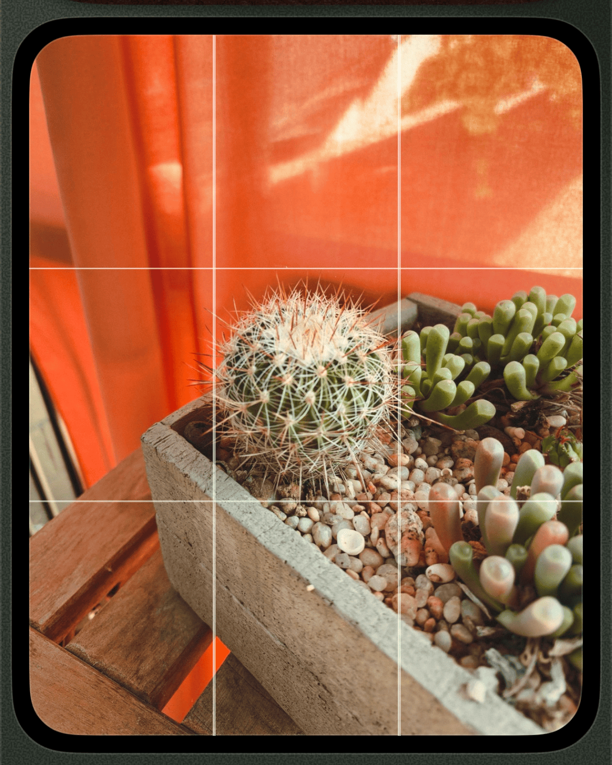 Rule-of-thirds grid over a photo